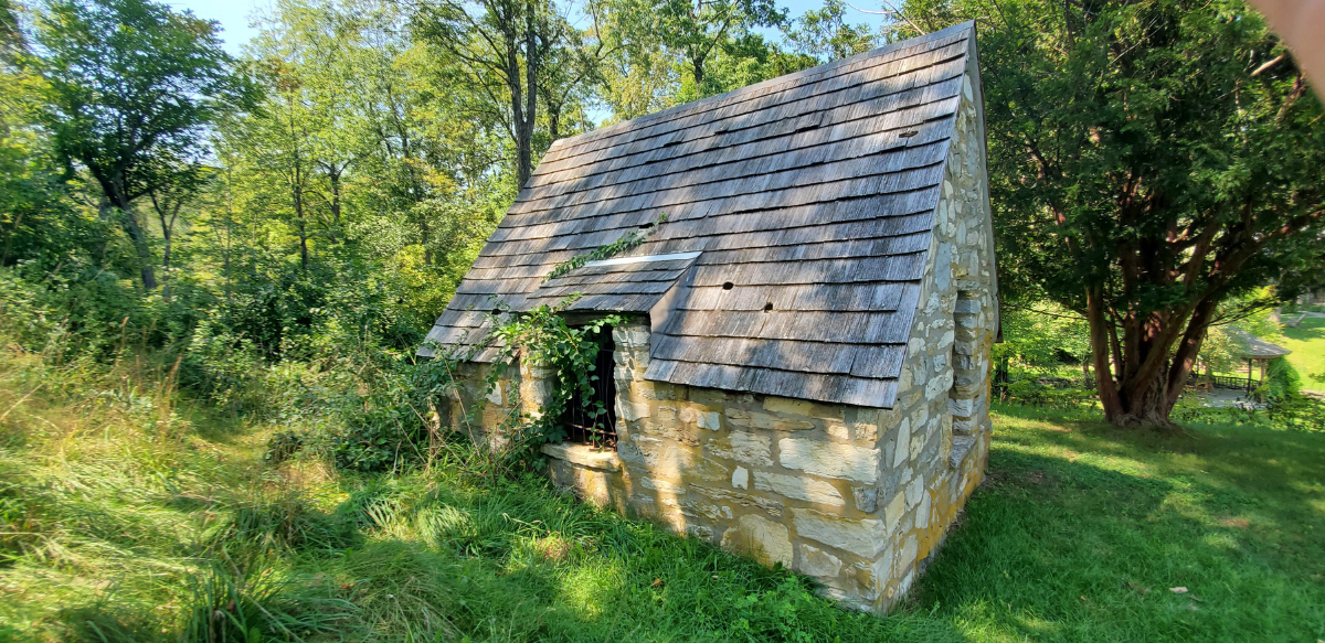 Mold, Moss, or Algae Growth