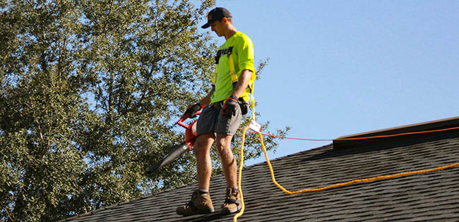 A roofer stands on a sloped roof with safety ropes.