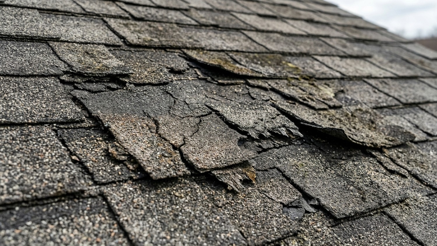 severely damaged, cracked, and curling asphalt shingles