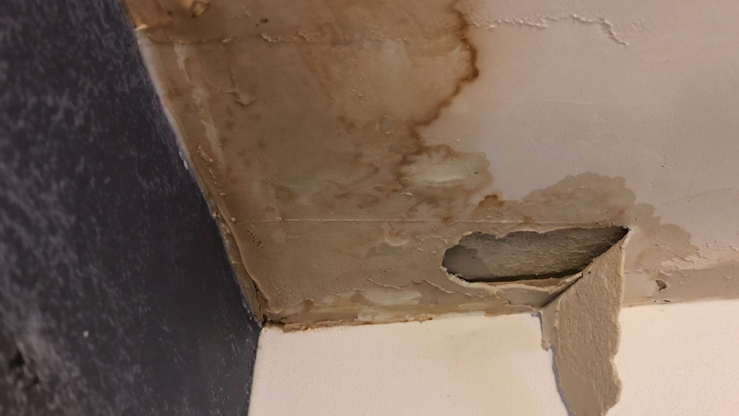 brown water stains on a ceiling