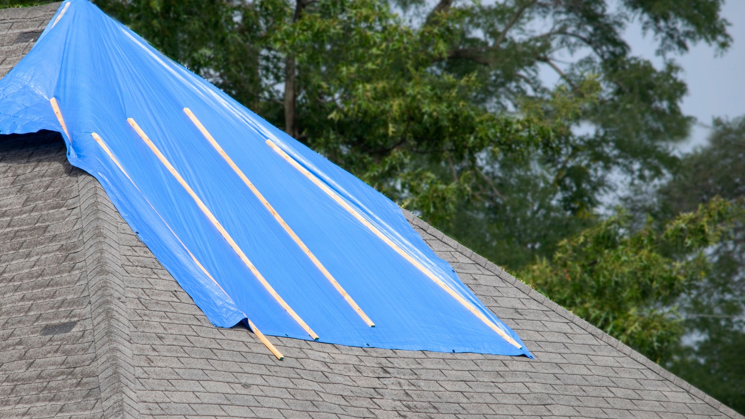 blue tarp secured with wooden furring strips covering a damaged section