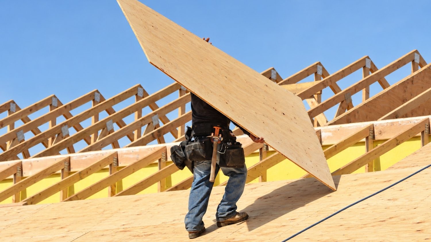 carrying a large sheet of plywood