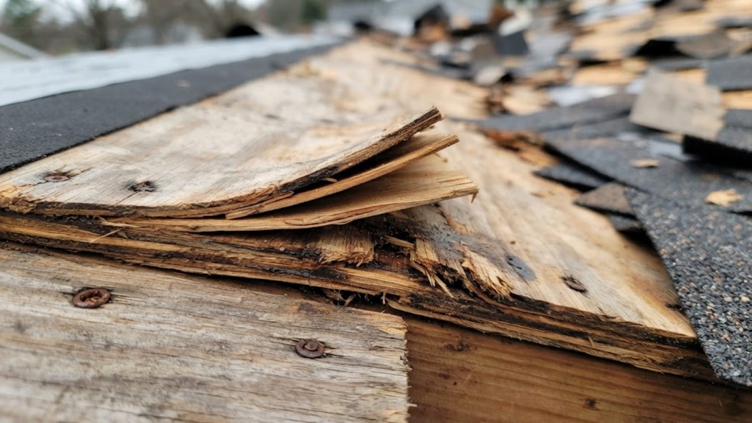 shingle roof during tear-off